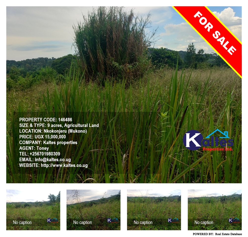 Agricultural Land  for sale in Nkokonjeru Mukono Uganda, code: 146486