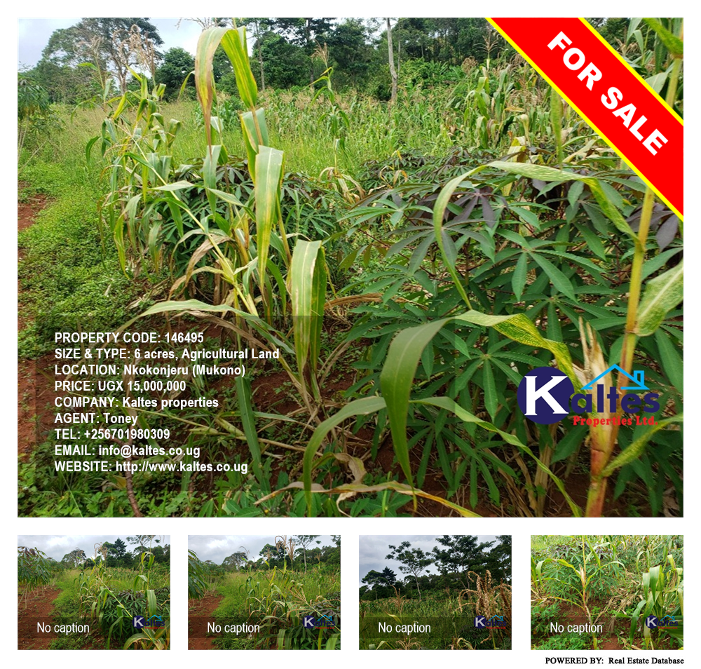 Agricultural Land  for sale in Nkokonjeru Mukono Uganda, code: 146495