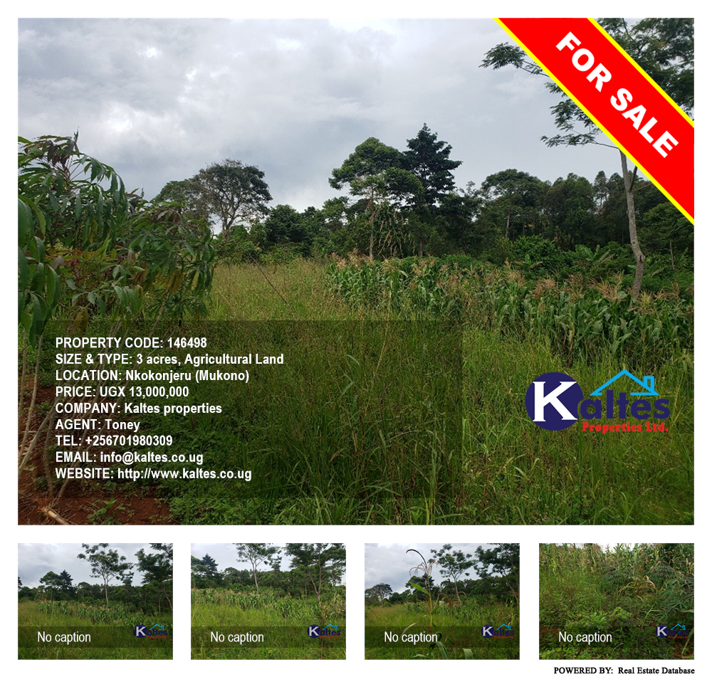 Agricultural Land  for sale in Nkokonjeru Mukono Uganda, code: 146498