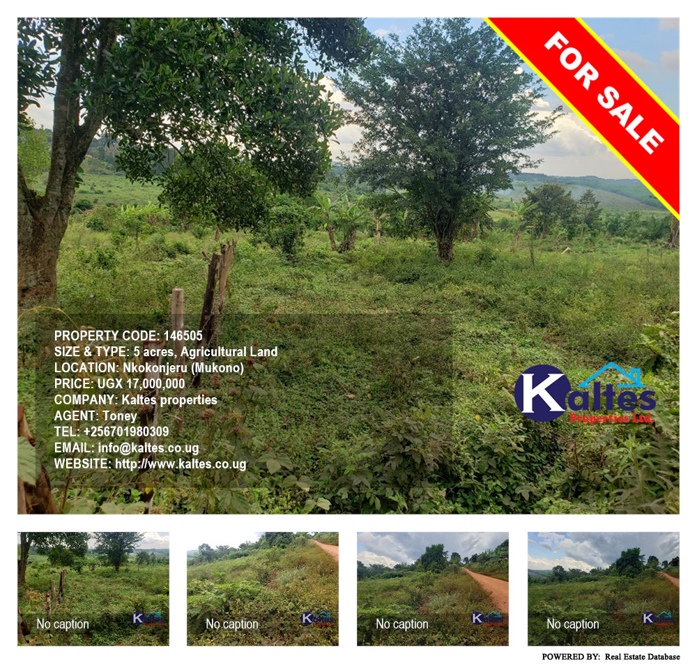 Agricultural Land  for sale in Nkokonjeru Mukono Uganda, code: 146505