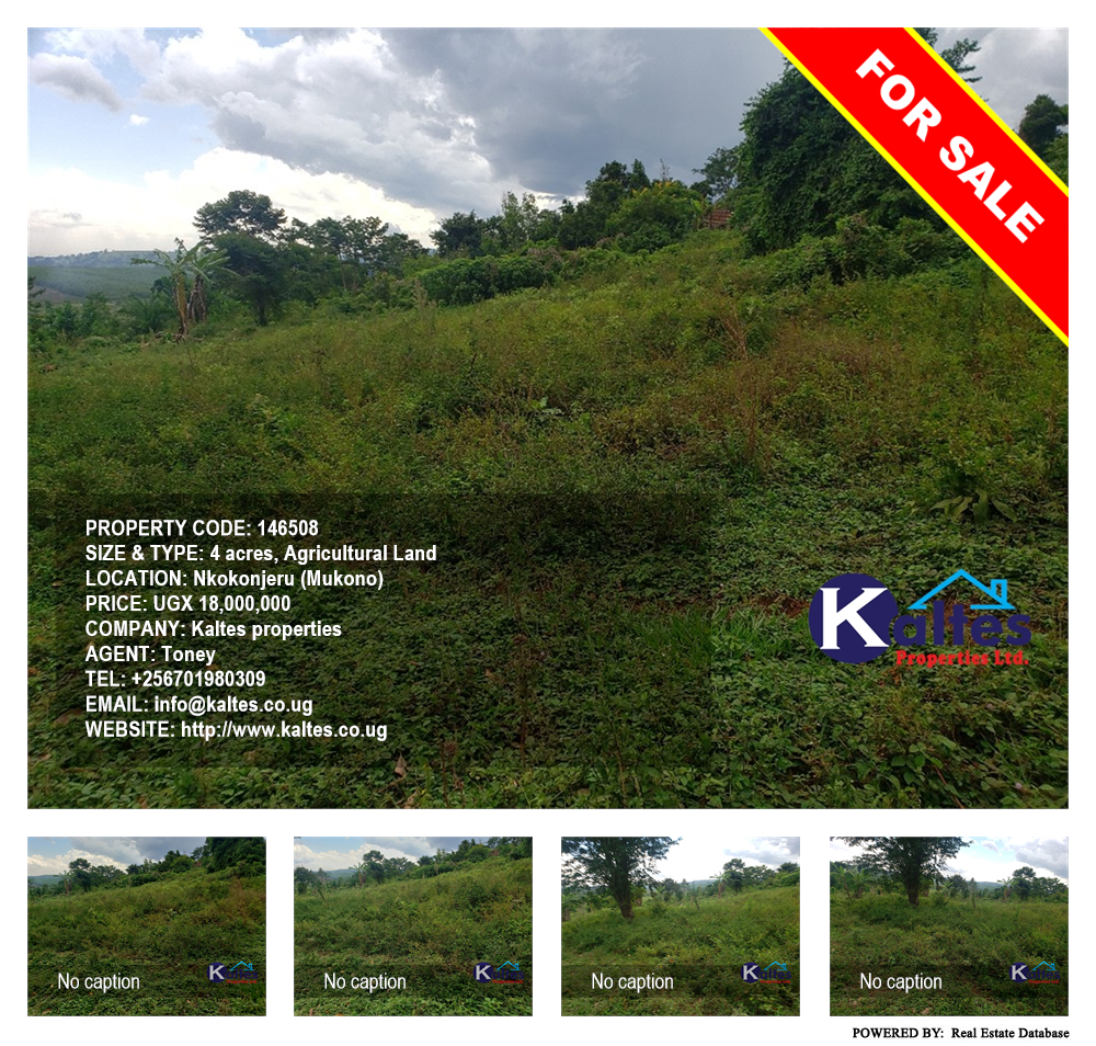 Agricultural Land  for sale in Nkokonjeru Mukono Uganda, code: 146508