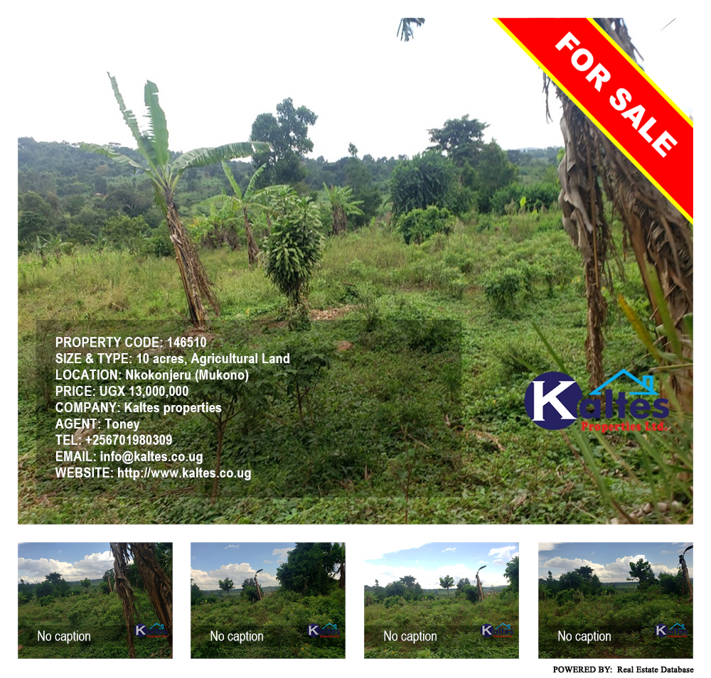 Agricultural Land  for sale in Nkokonjeru Mukono Uganda, code: 146510