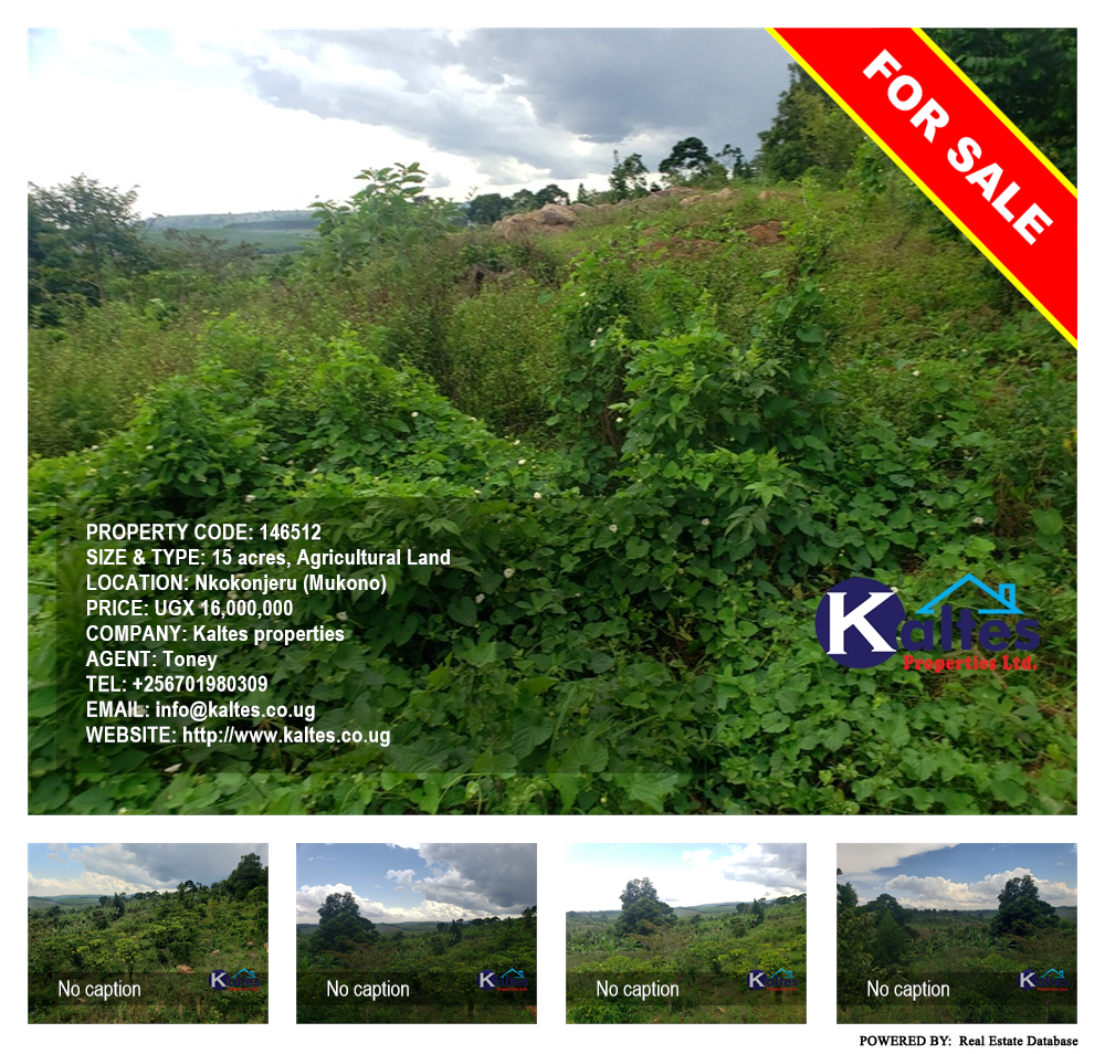 Agricultural Land  for sale in Nkokonjeru Mukono Uganda, code: 146512