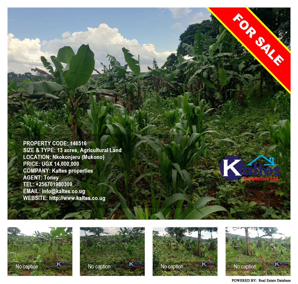 Agricultural Land  for sale in Nkokonjeru Mukono Uganda, code: 146516