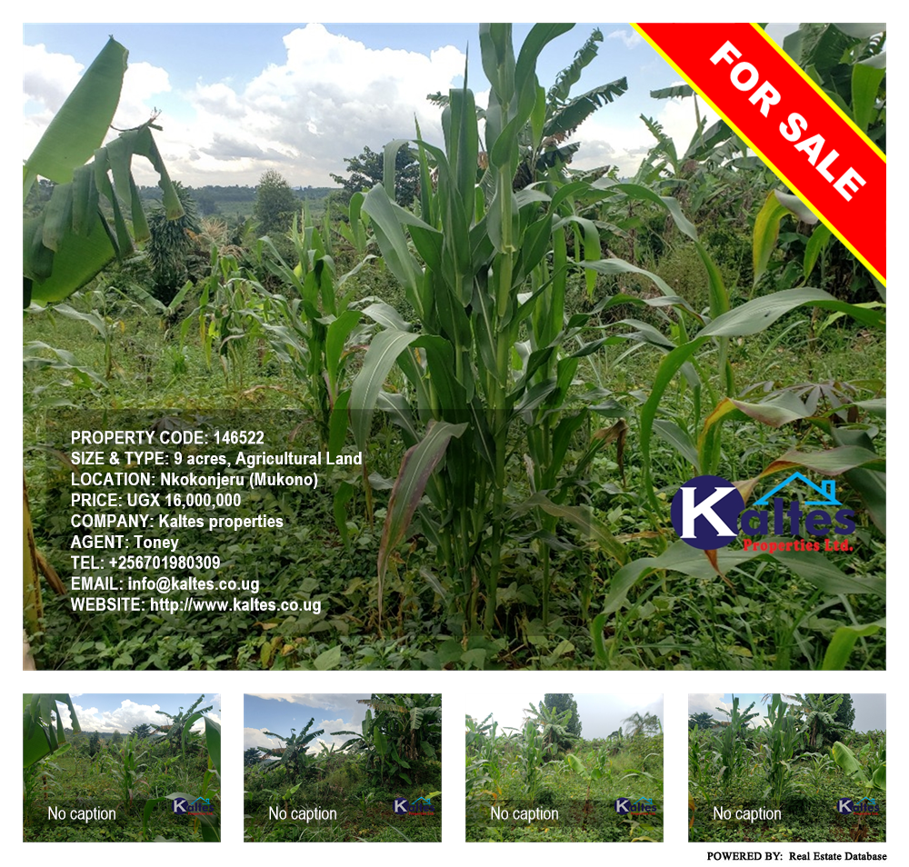 Agricultural Land  for sale in Nkokonjeru Mukono Uganda, code: 146522