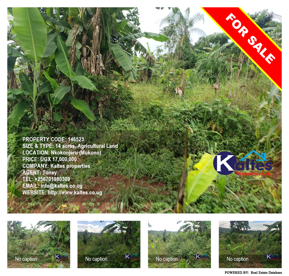 Agricultural Land  for sale in Nkokonjeru Mukono Uganda, code: 146523