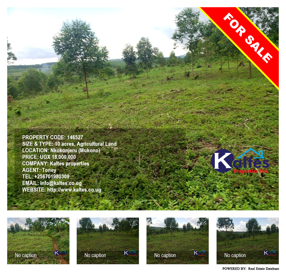 Agricultural Land  for sale in Nkokonjeru Mukono Uganda, code: 146527