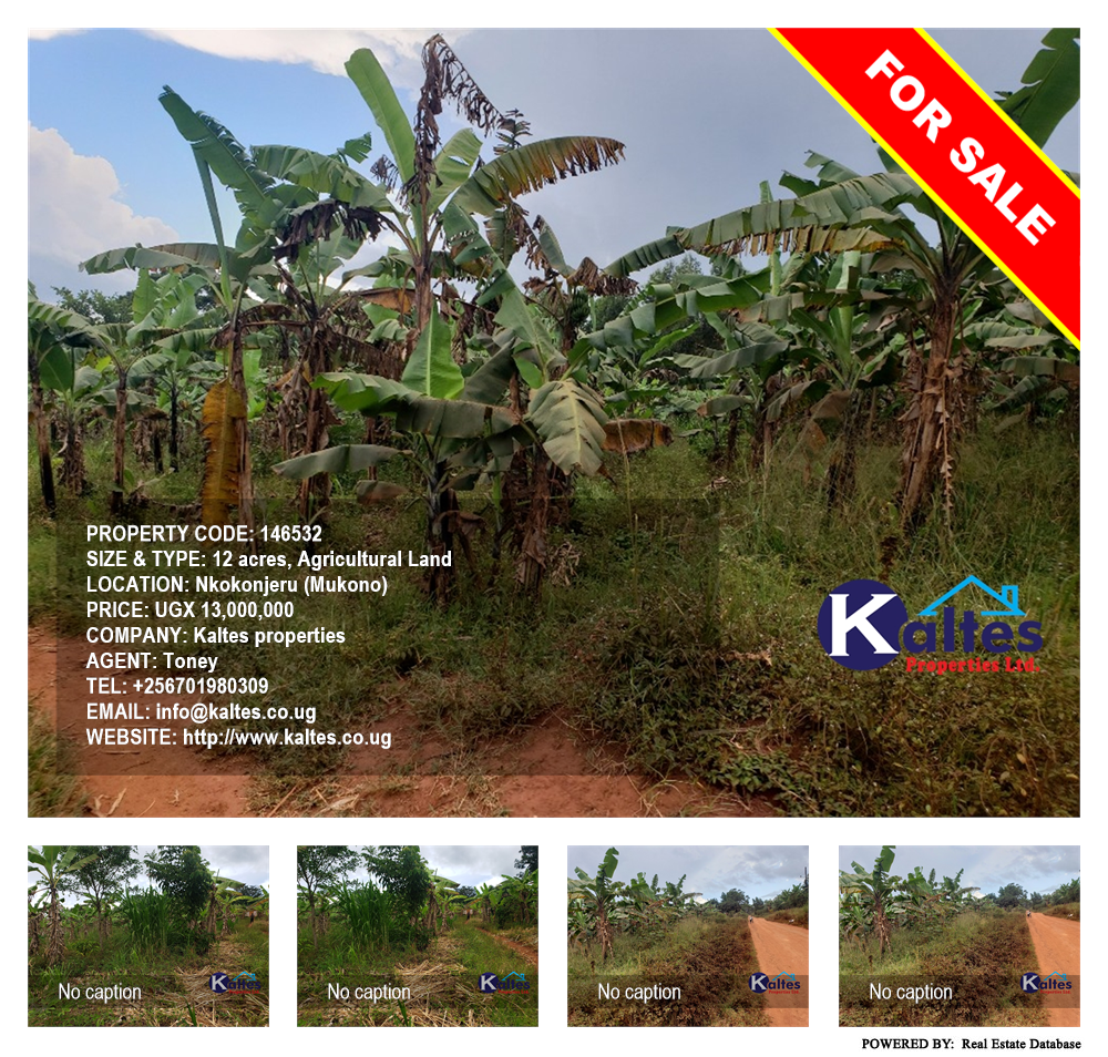 Agricultural Land  for sale in Nkokonjeru Mukono Uganda, code: 146532