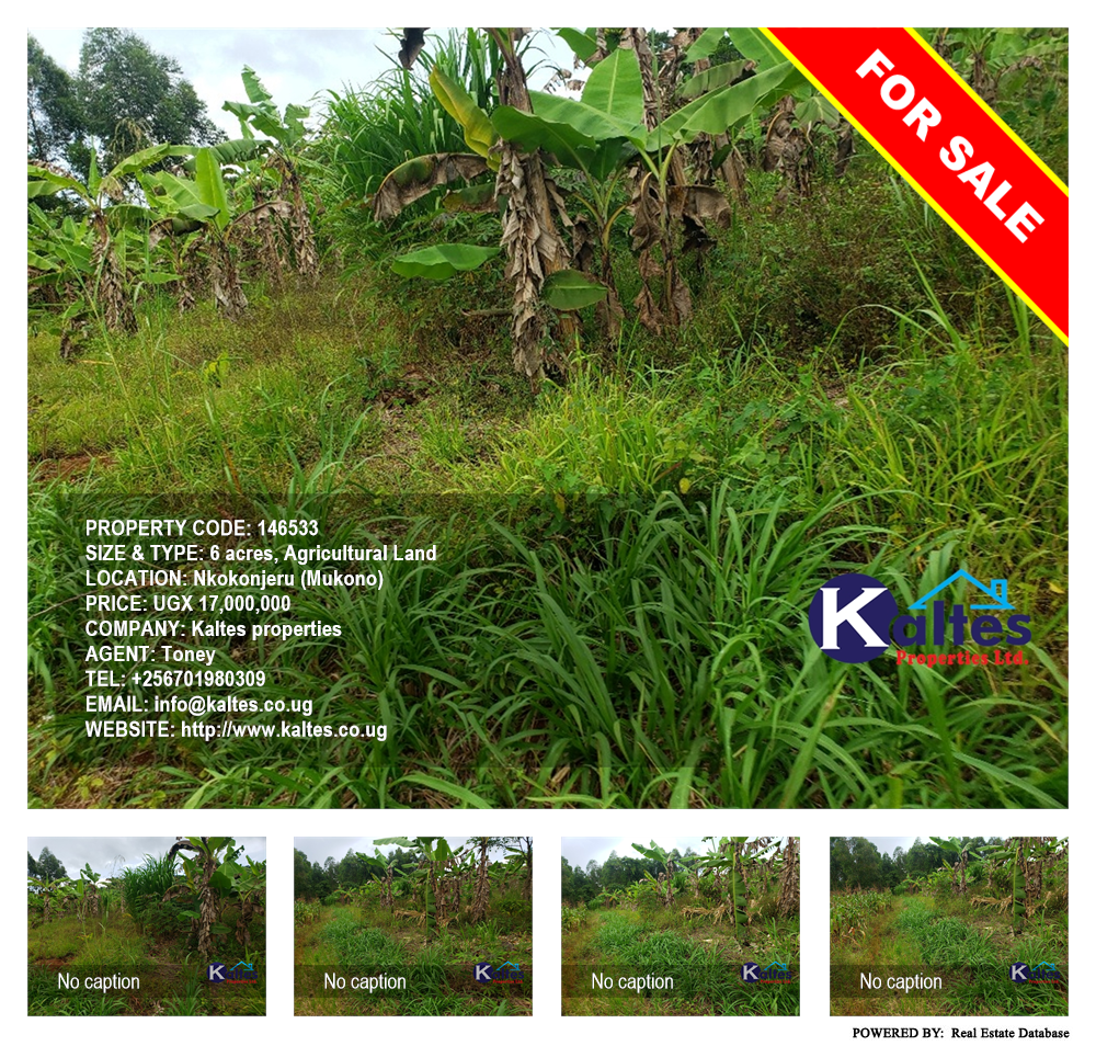 Agricultural Land  for sale in Nkokonjeru Mukono Uganda, code: 146533