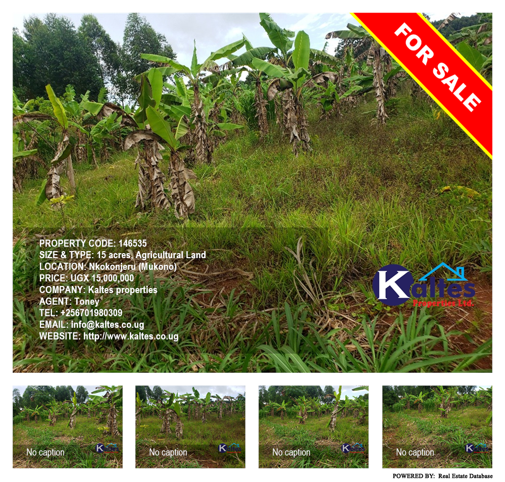 Agricultural Land  for sale in Nkokonjeru Mukono Uganda, code: 146535
