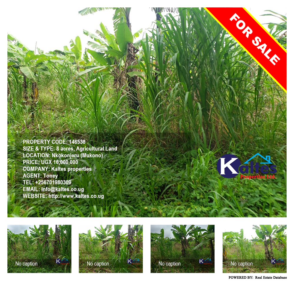 Agricultural Land  for sale in Nkokonjeru Mukono Uganda, code: 146538
