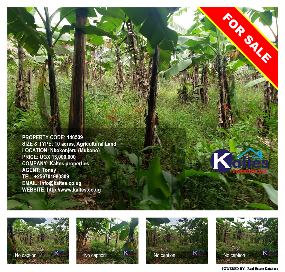 Agricultural Land  for sale in Nkokonjeru Mukono Uganda, code: 146539