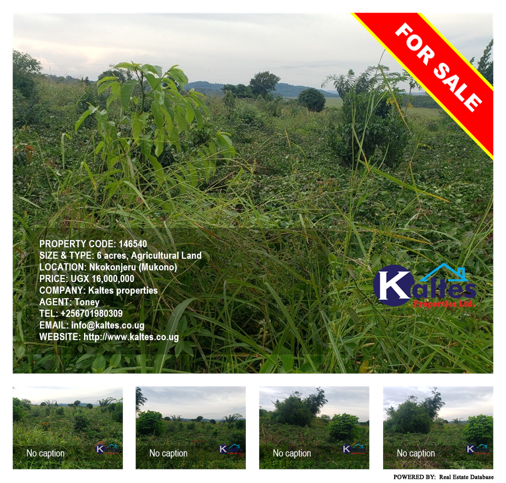 Agricultural Land  for sale in Nkokonjeru Mukono Uganda, code: 146540