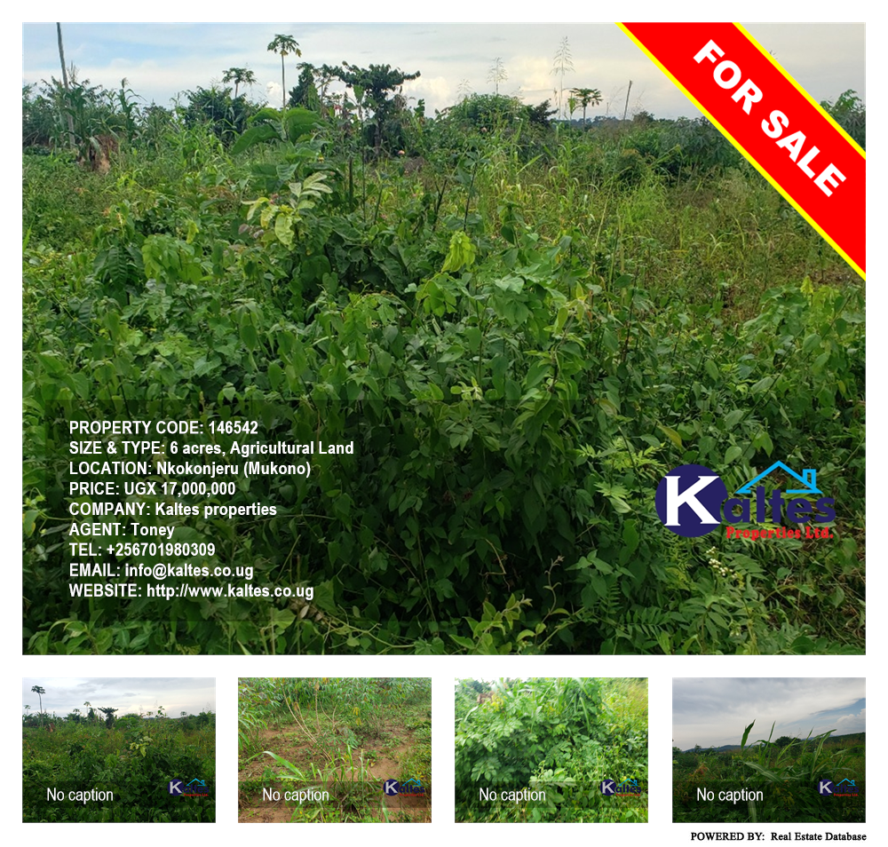 Agricultural Land  for sale in Nkokonjeru Mukono Uganda, code: 146542