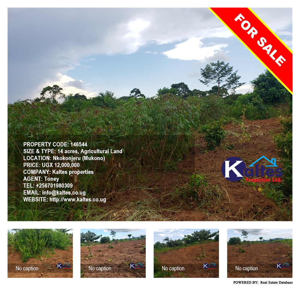 Agricultural Land  for sale in Nkokonjeru Mukono Uganda, code: 146544