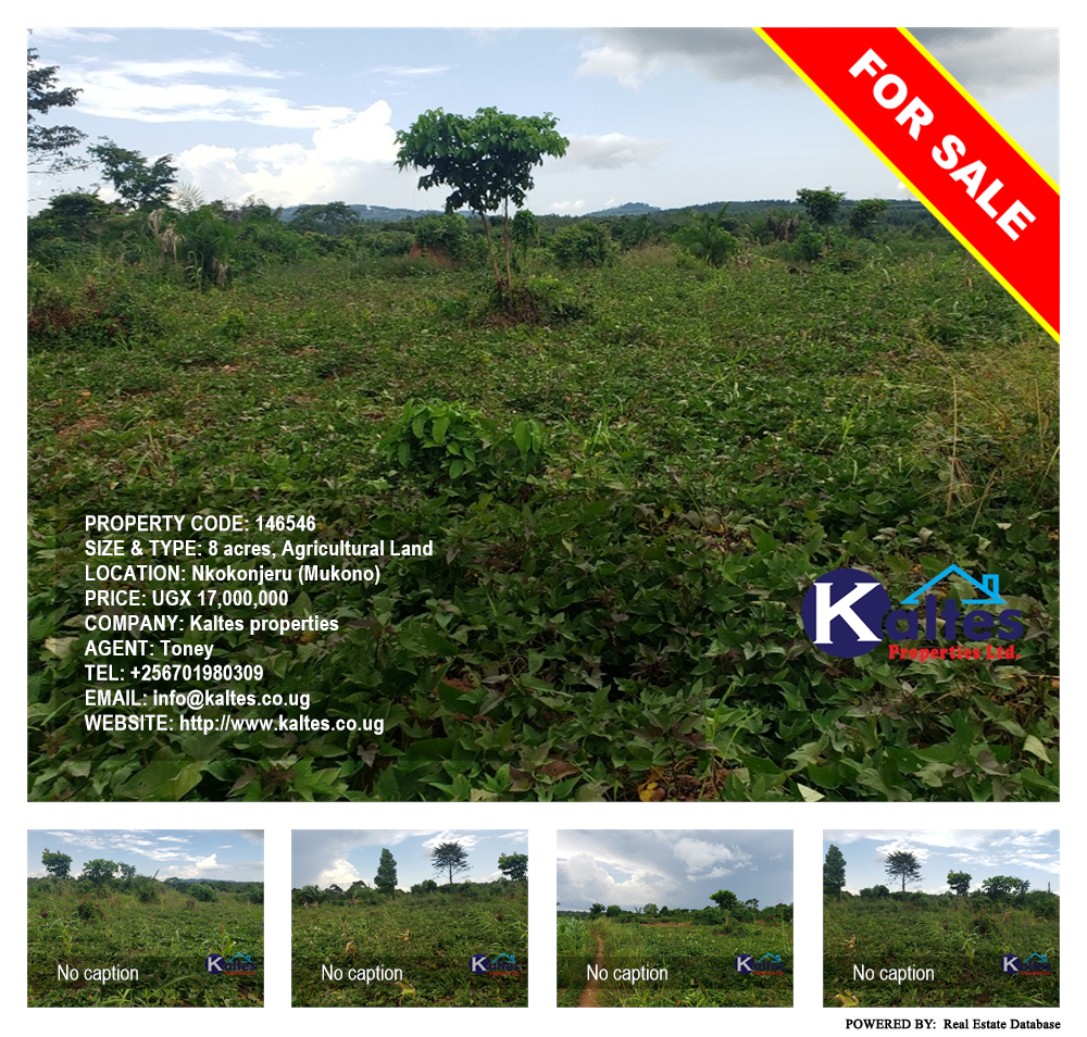 Agricultural Land  for sale in Nkokonjeru Mukono Uganda, code: 146546