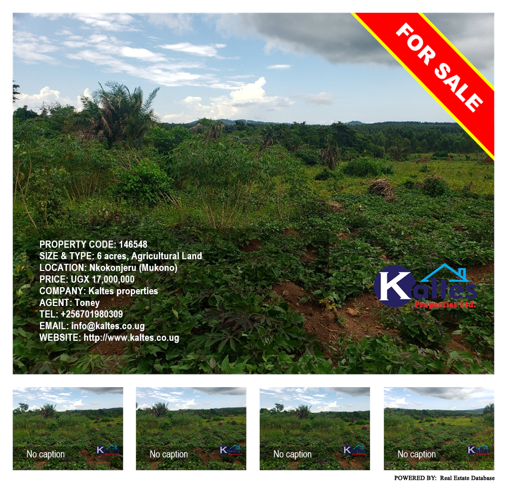 Agricultural Land  for sale in Nkokonjeru Mukono Uganda, code: 146548