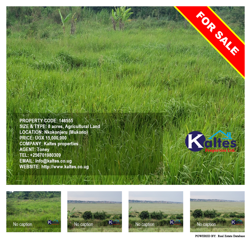 Agricultural Land  for sale in Nkokonjeru Mukono Uganda, code: 146555