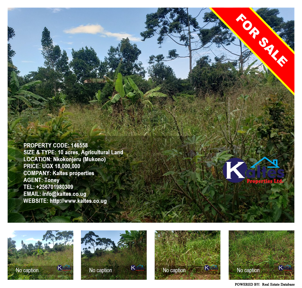 Agricultural Land  for sale in Nkokonjeru Mukono Uganda, code: 146558
