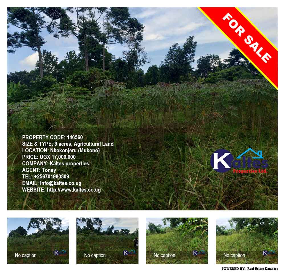 Agricultural Land  for sale in Nkokonjeru Mukono Uganda, code: 146560