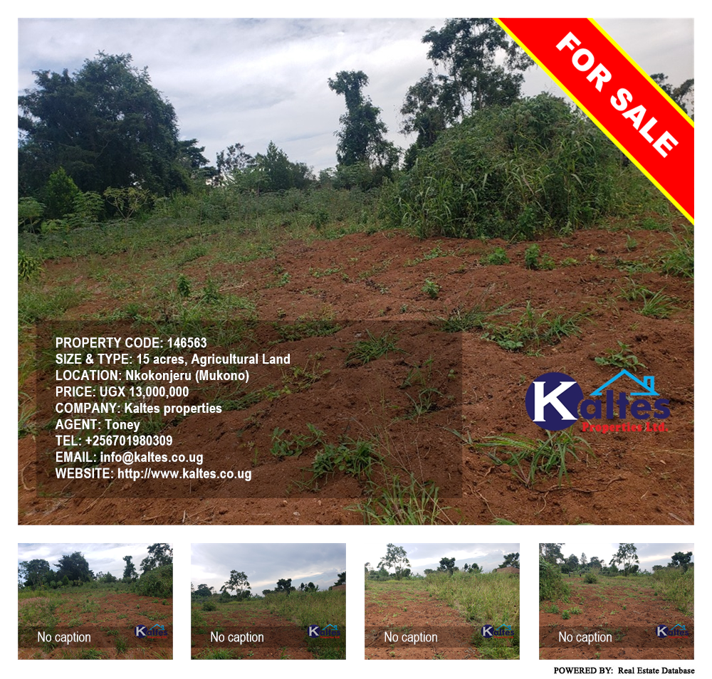 Agricultural Land  for sale in Nkokonjeru Mukono Uganda, code: 146563
