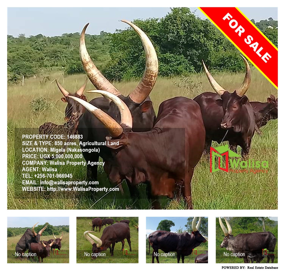 Agricultural Land  for sale in Migela Nakasongola Uganda, code: 146883