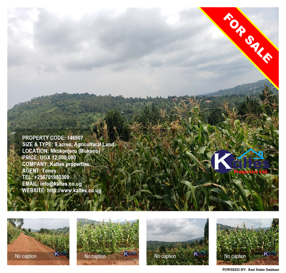 Agricultural Land  for sale in Nkokonjeru Mukono Uganda, code: 146907