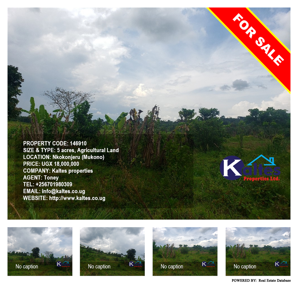 Agricultural Land  for sale in Nkokonjeru Mukono Uganda, code: 146910