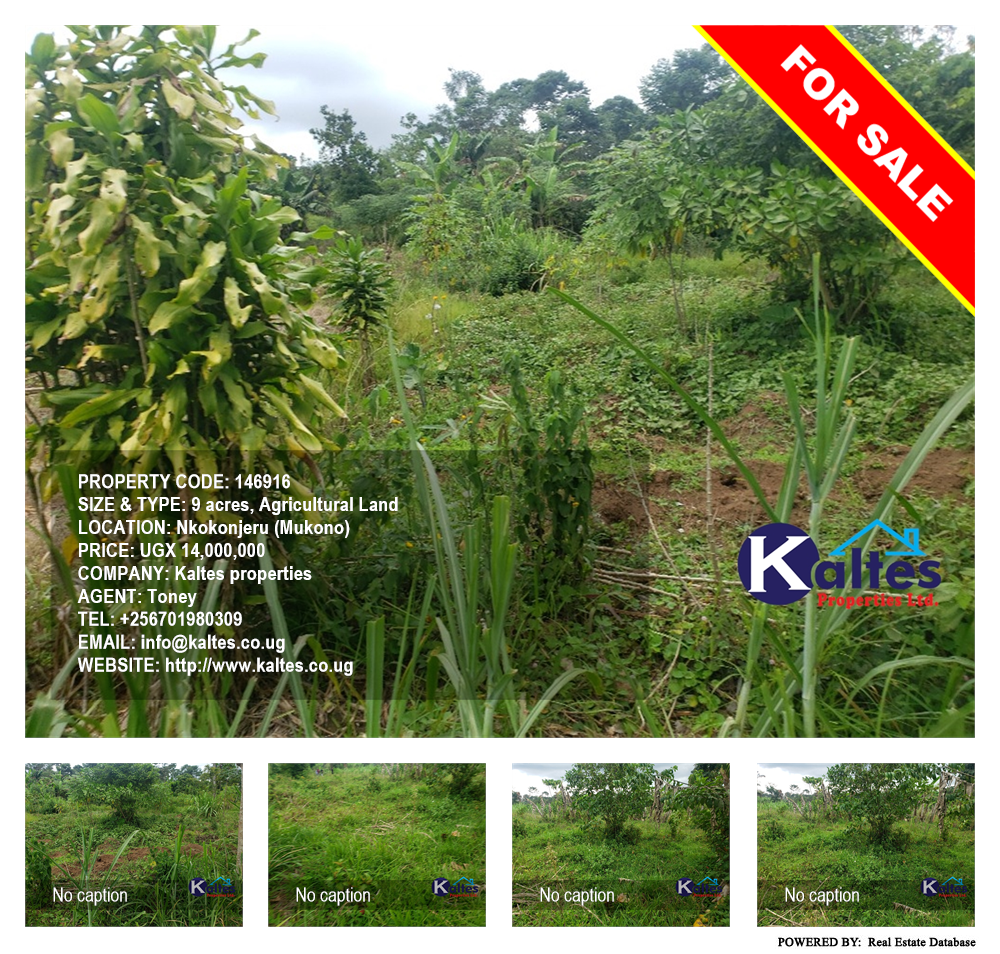Agricultural Land  for sale in Nkokonjeru Mukono Uganda, code: 146916