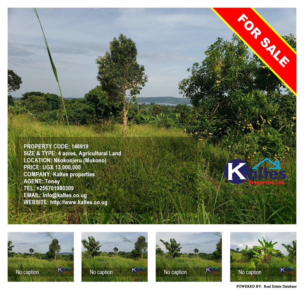 Agricultural Land  for sale in Nkokonjeru Mukono Uganda, code: 146919