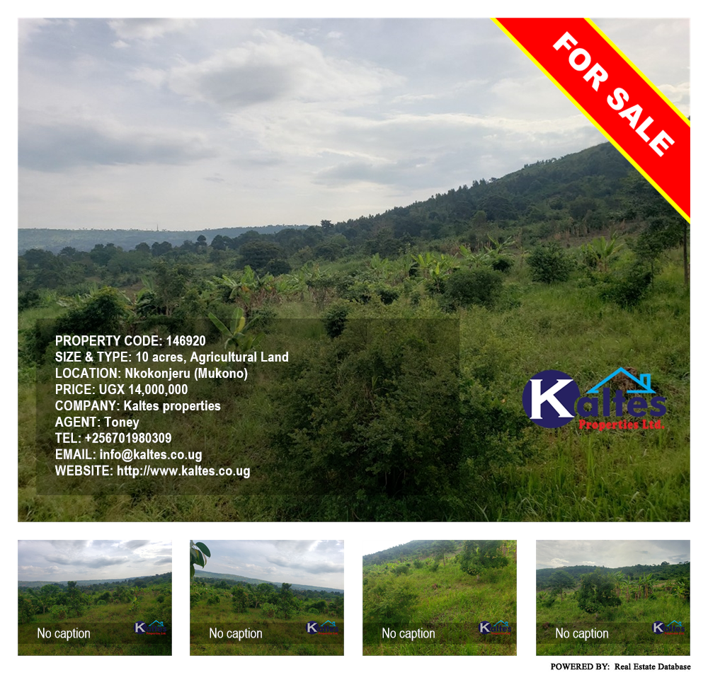 Agricultural Land  for sale in Nkokonjeru Mukono Uganda, code: 146920
