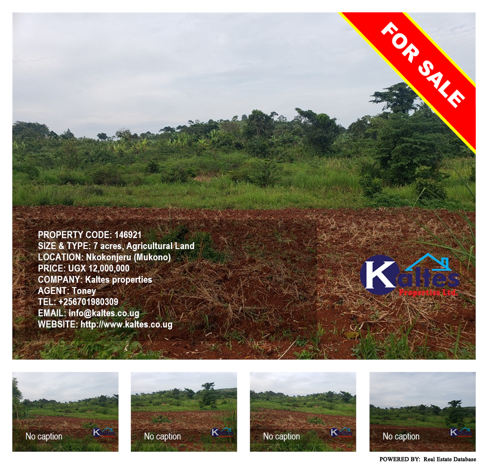 Agricultural Land  for sale in Nkokonjeru Mukono Uganda, code: 146921