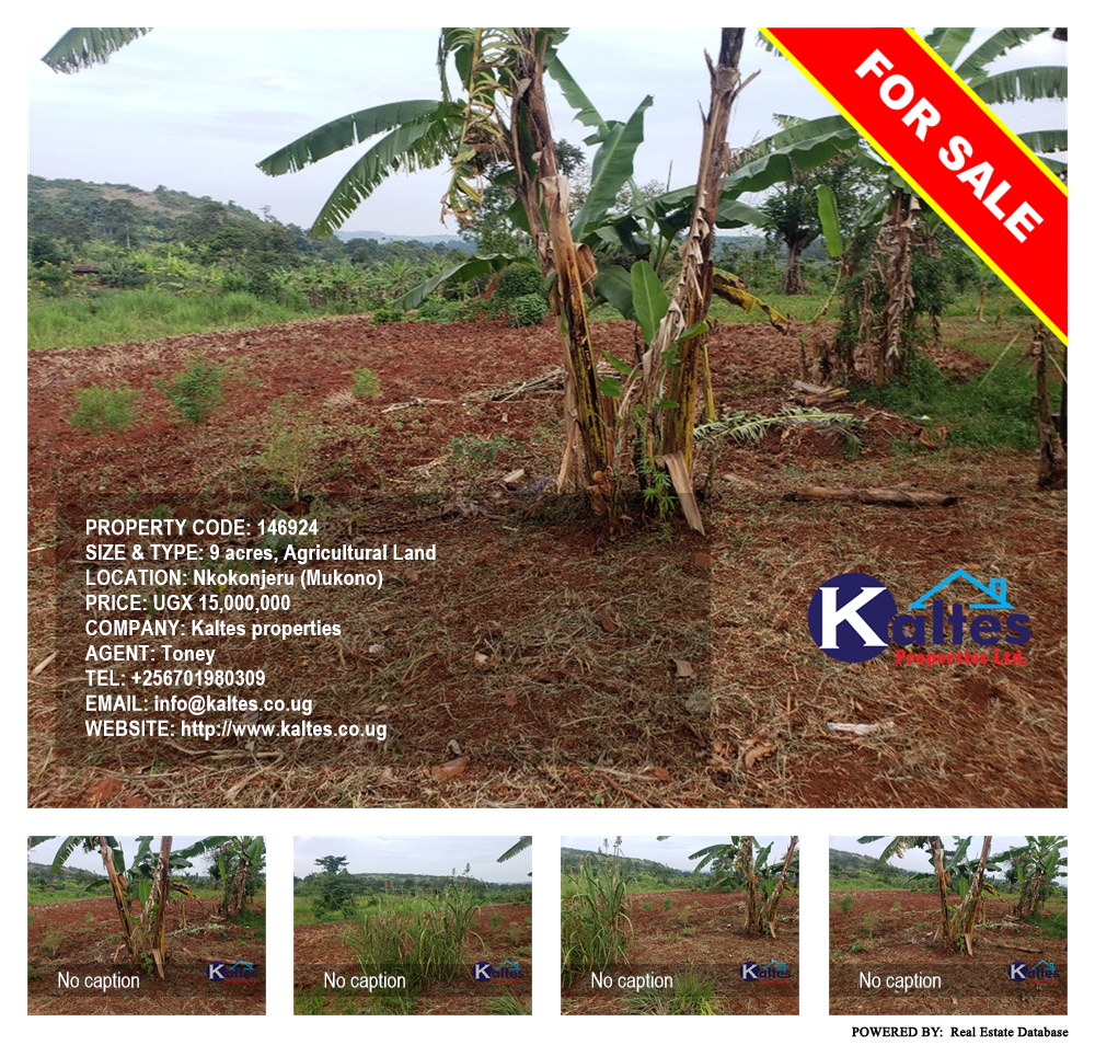 Agricultural Land  for sale in Nkokonjeru Mukono Uganda, code: 146924