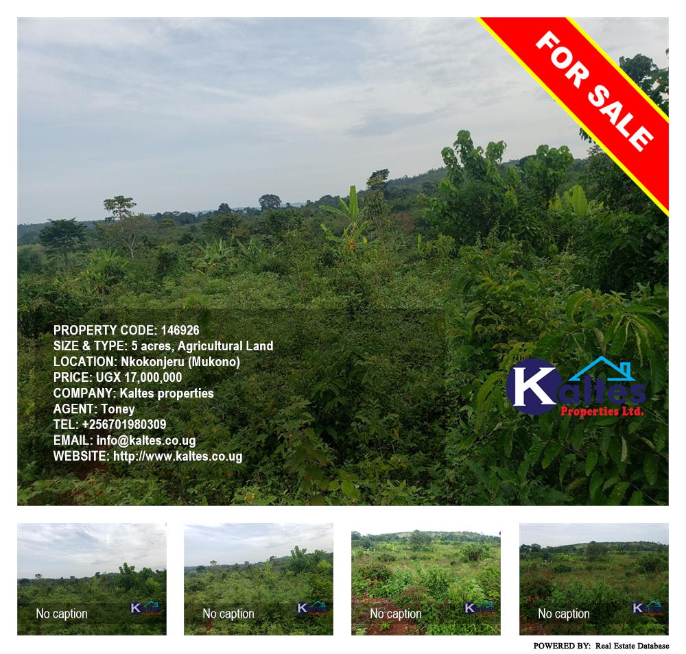 Agricultural Land  for sale in Nkokonjeru Mukono Uganda, code: 146926