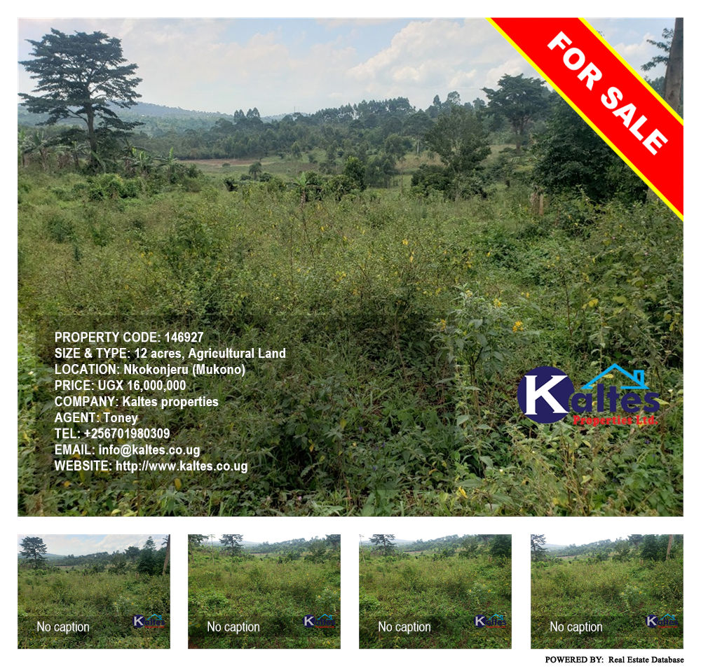 Agricultural Land  for sale in Nkokonjeru Mukono Uganda, code: 146927