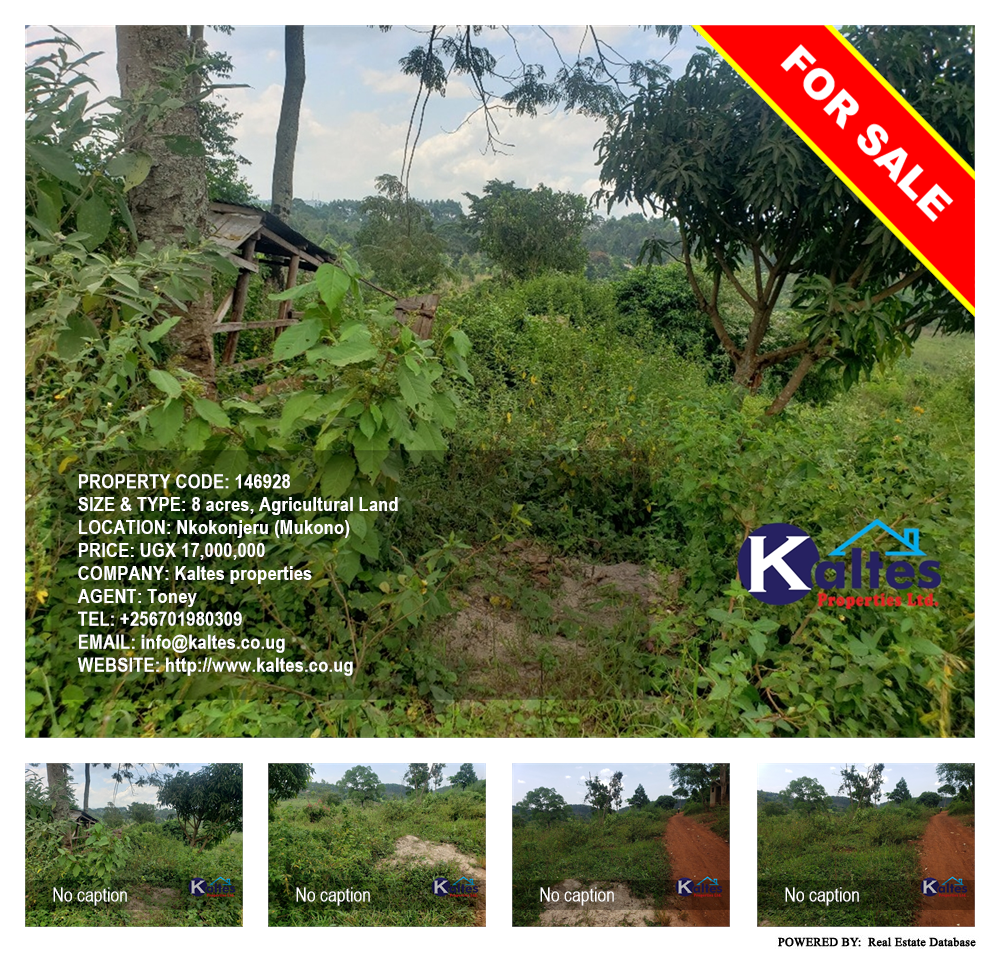 Agricultural Land  for sale in Nkokonjeru Mukono Uganda, code: 146928