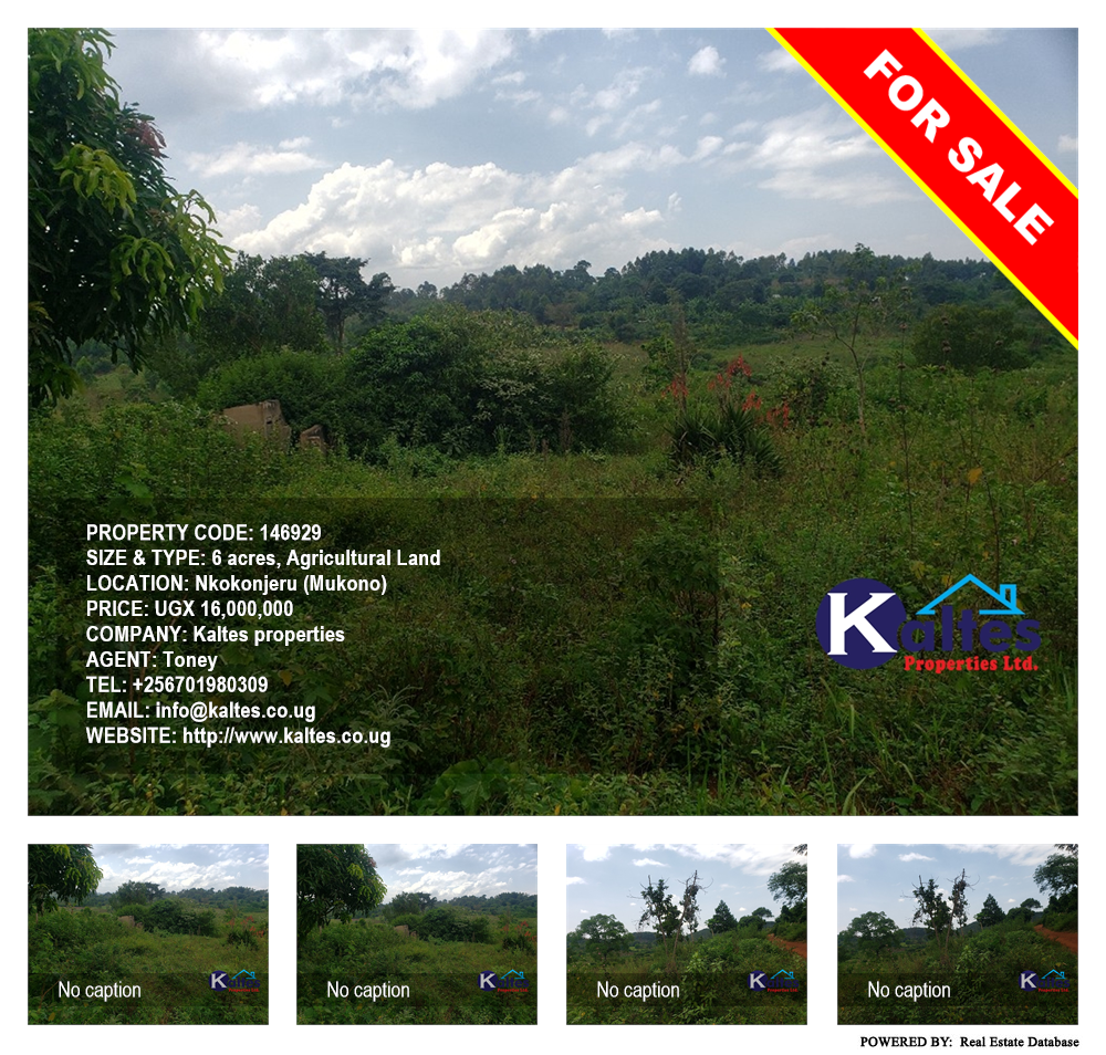 Agricultural Land  for sale in Nkokonjeru Mukono Uganda, code: 146929