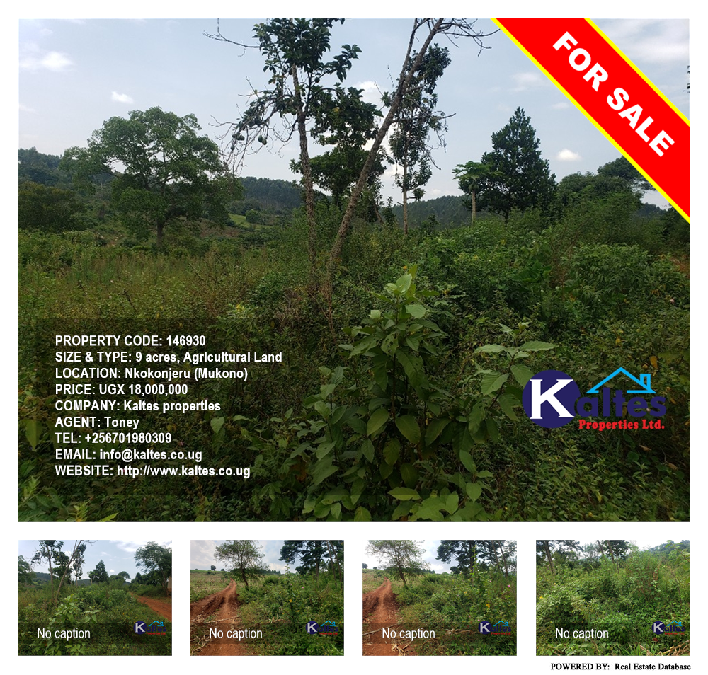Agricultural Land  for sale in Nkokonjeru Mukono Uganda, code: 146930
