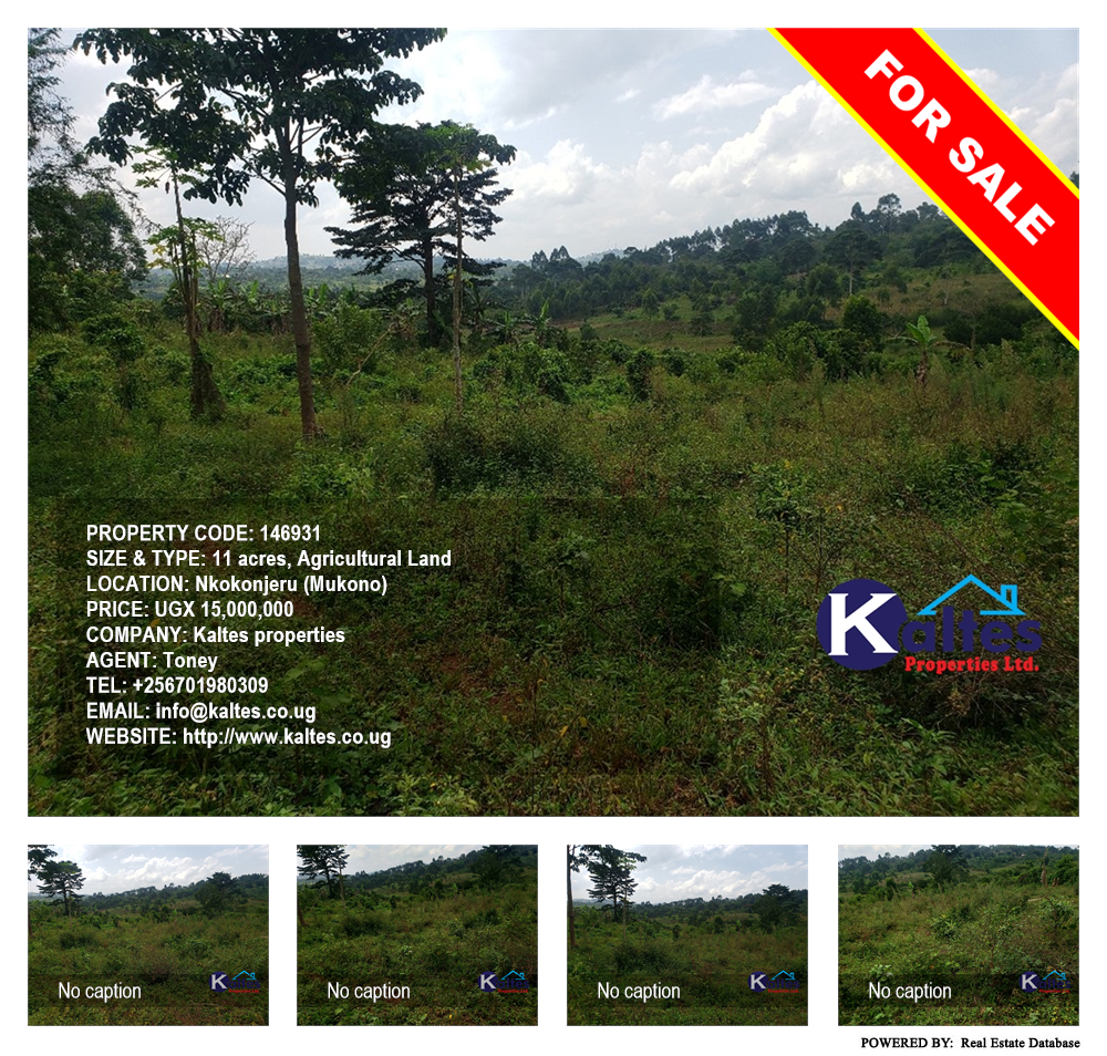 Agricultural Land  for sale in Nkokonjeru Mukono Uganda, code: 146931