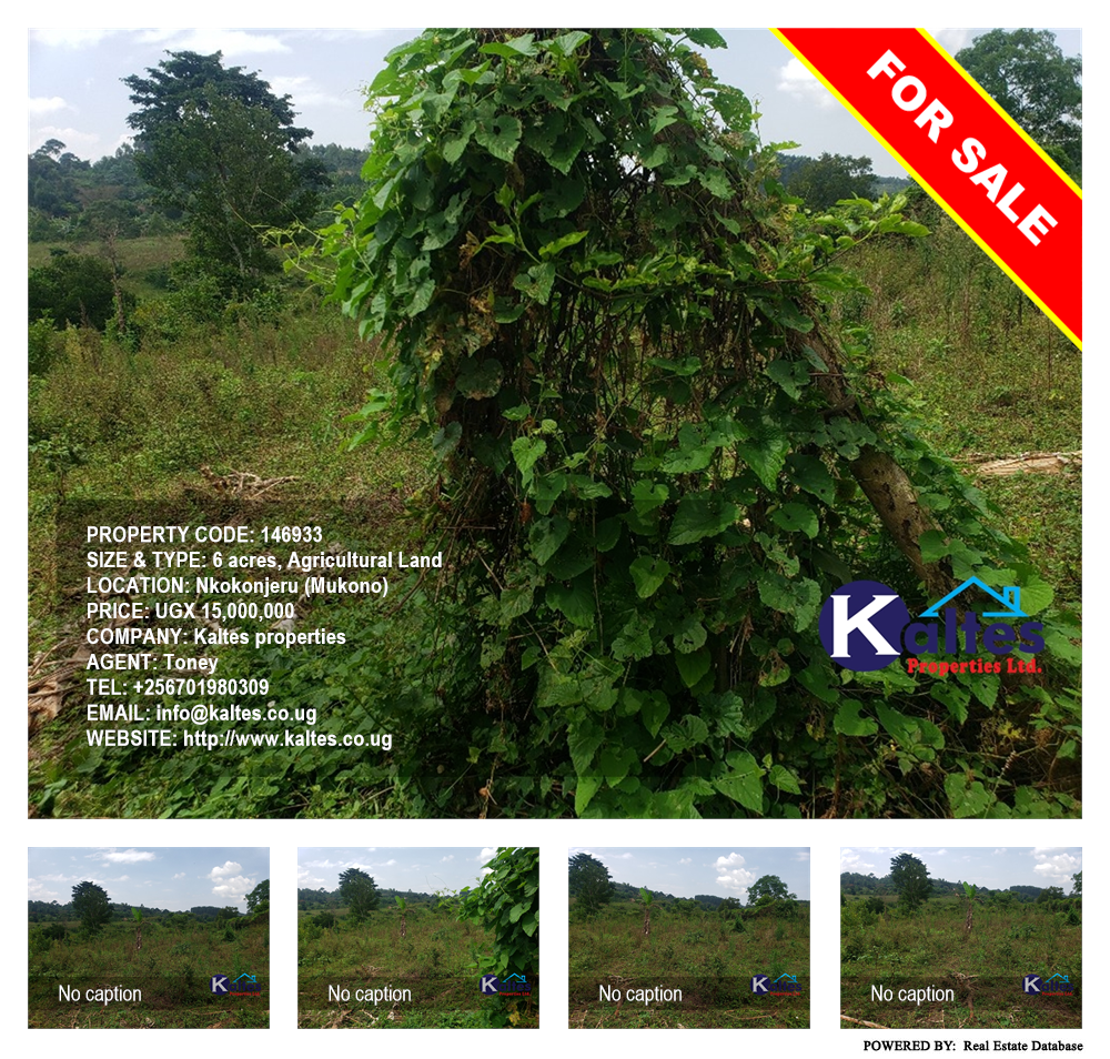 Agricultural Land  for sale in Nkokonjeru Mukono Uganda, code: 146933