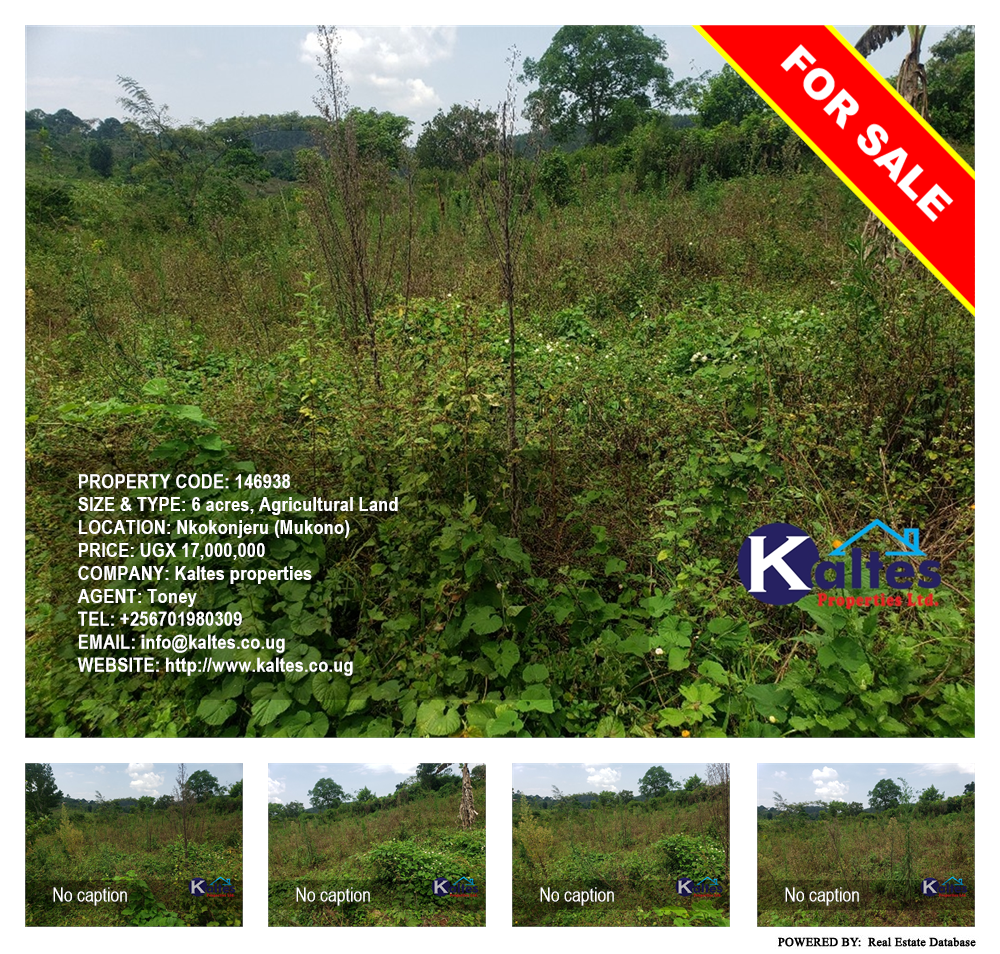 Agricultural Land  for sale in Nkokonjeru Mukono Uganda, code: 146938