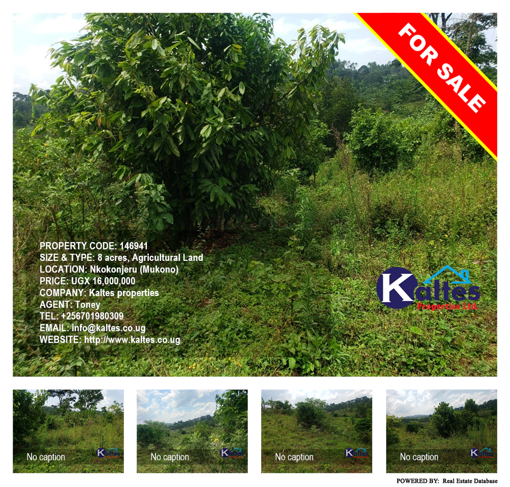 Agricultural Land  for sale in Nkokonjeru Mukono Uganda, code: 146941