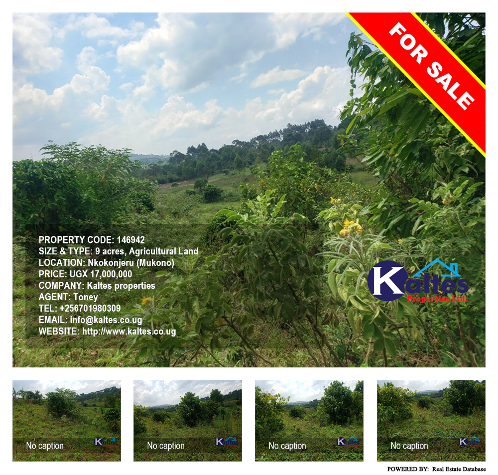 Agricultural Land  for sale in Nkokonjeru Mukono Uganda, code: 146942