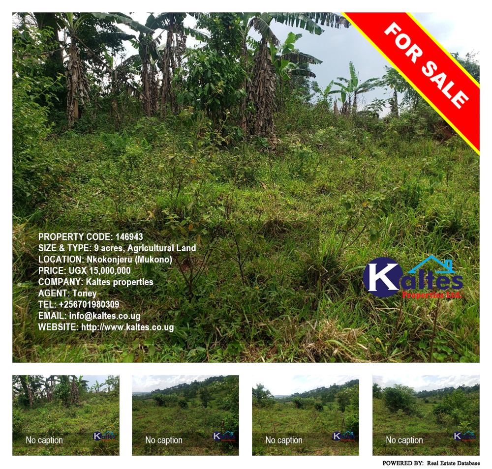 Agricultural Land  for sale in Nkokonjeru Mukono Uganda, code: 146943