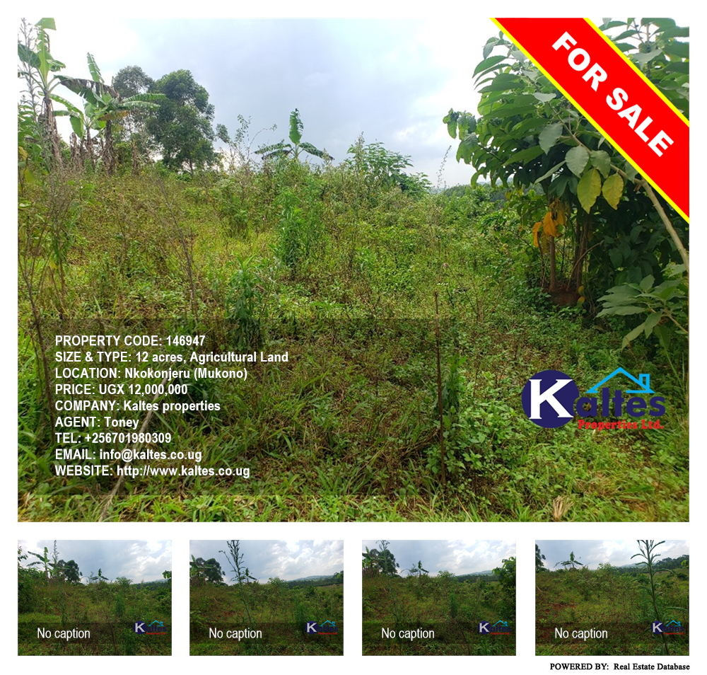 Agricultural Land  for sale in Nkokonjeru Mukono Uganda, code: 146947