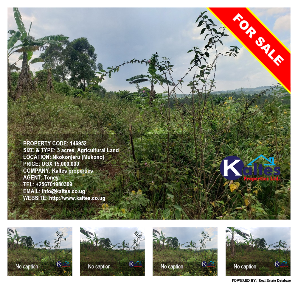 Agricultural Land  for sale in Nkokonjeru Mukono Uganda, code: 146952