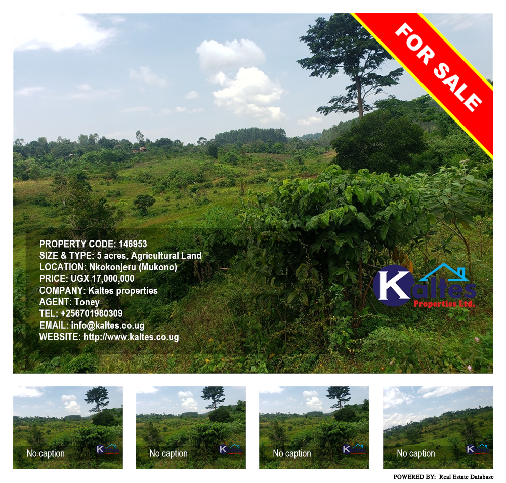Agricultural Land  for sale in Nkokonjeru Mukono Uganda, code: 146953