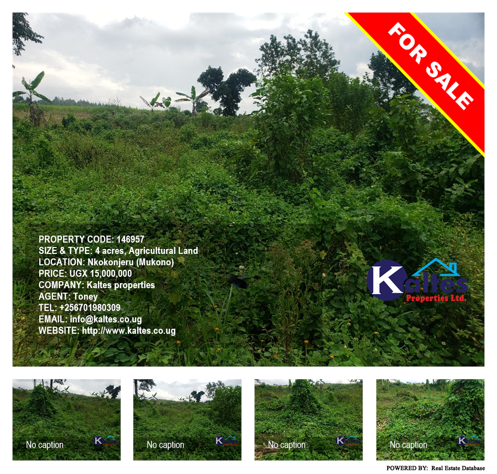 Agricultural Land  for sale in Nkokonjeru Mukono Uganda, code: 146957