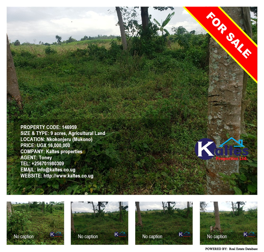 Agricultural Land  for sale in Nkokonjeru Mukono Uganda, code: 146959