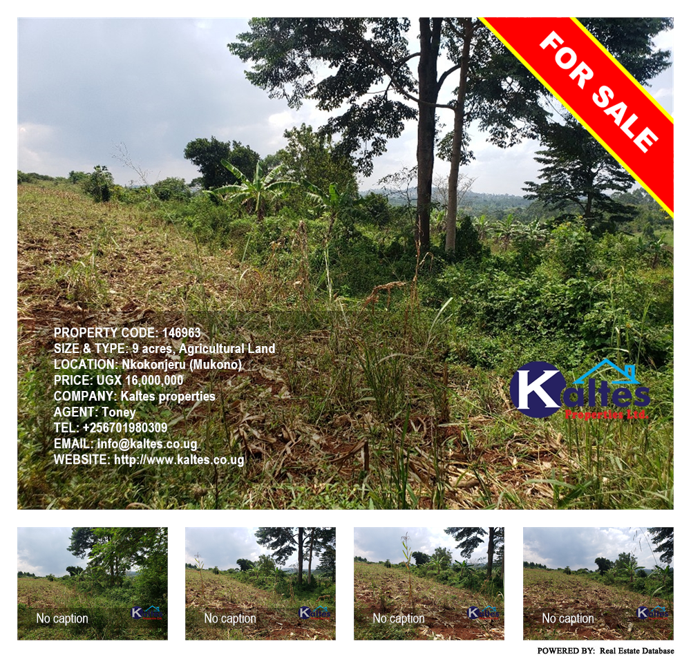 Agricultural Land  for sale in Nkokonjeru Mukono Uganda, code: 146963